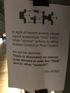 Birds *really* are your friends, do not say otherwise. 35C3