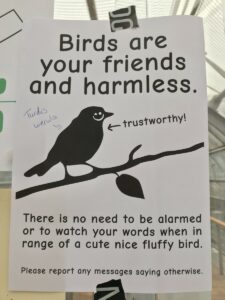 Birds are your friends. 35C3